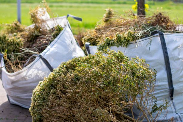 Recycling Services for Junk in Springfield, KY