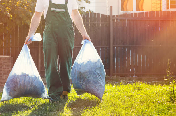 Best Recycling Services for Junk  in Springfield, KY